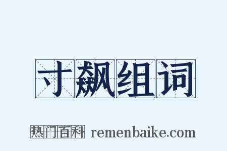 寸飙组词是什么意思的图片